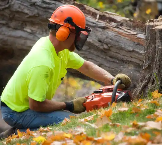 tree services Sands Point